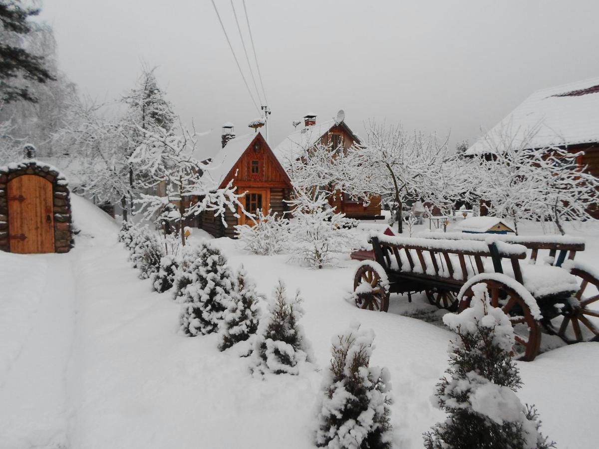 Agrousad'Ba Okolitsa Hotel Shchibri Buitenkant foto