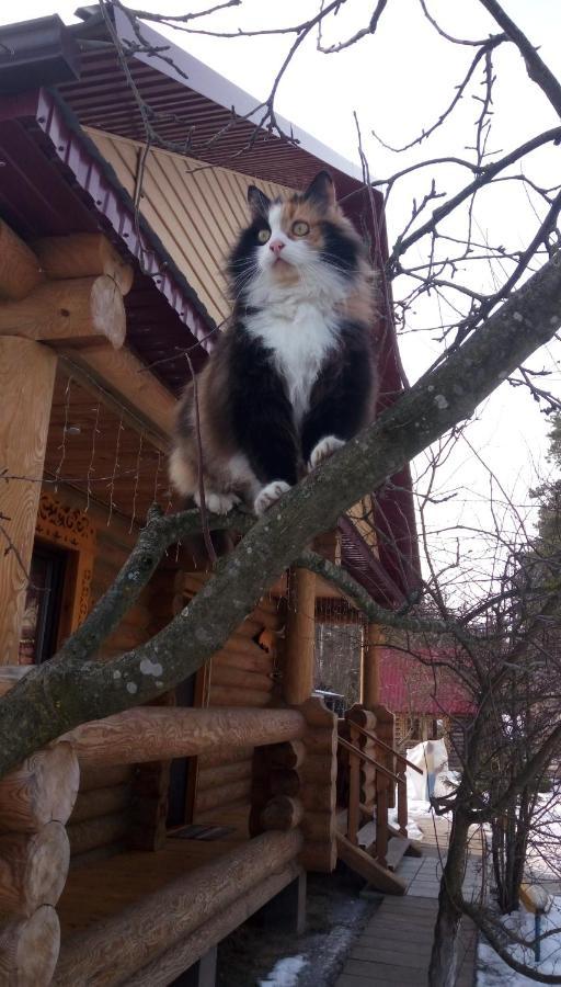 Agrousad'Ba Okolitsa Hotel Shchibri Buitenkant foto